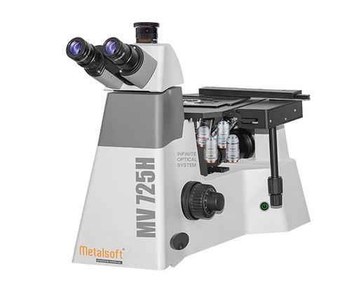 Online Nodularity Inspection System
