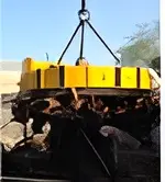 Magnalift Electro-Magnet Lifter (Circular & Eleptical Magnet lifters Used for Loading / Unloading and Furnace Charging)