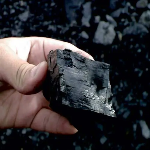 Steam Coal